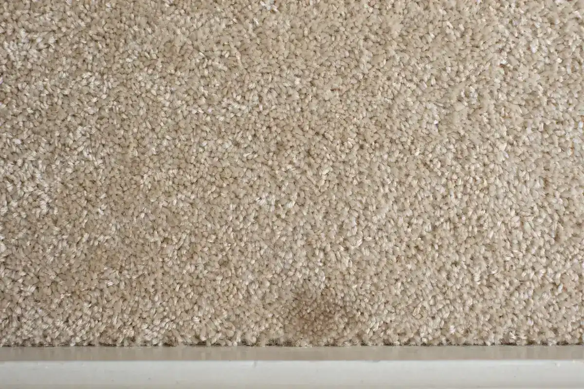 Beige carpet fibers with one faint darker patch near a baseboard